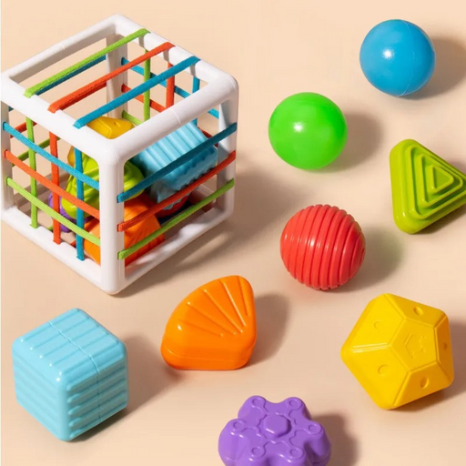 Comius Sharp Holzspielzeug, 4 in 1 Montessori Spielzeug, Motor Skills  Spielzeug für Jungen und Mädchen, Thema für Object Permanence Box, Münzbox,  Karottenernte, Colour Matching Sticks, Ball Drop: : Spielzeug